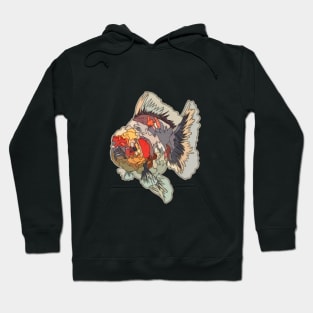 CALICO ORANDA GOLDFISH Hoodie